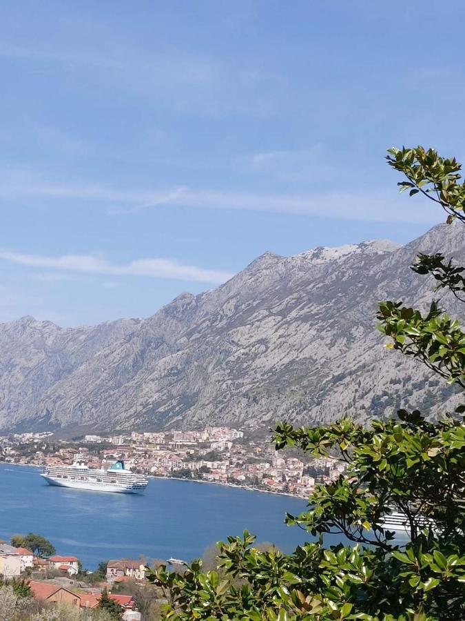 Casa Vecchia Villa Kotor Exteriör bild